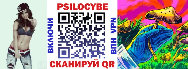 как найти   Весьегонск  Псилоцибиновые грибы Psilocybine cubensis 
